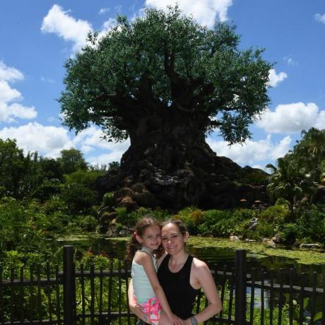 Disney photopass zvířecí říše strom života