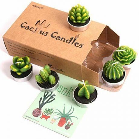 Kaktusové čajové svíčky